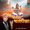 About Narmada Chalisa Song